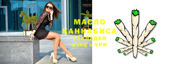 прущие грибы Горняк