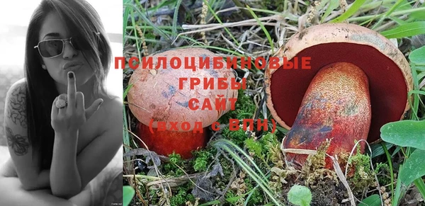 PSILOCYBIN Балабаново